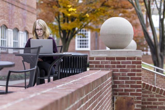 A student sits outside on the McDaniel College campus in fall, working on their laptop.